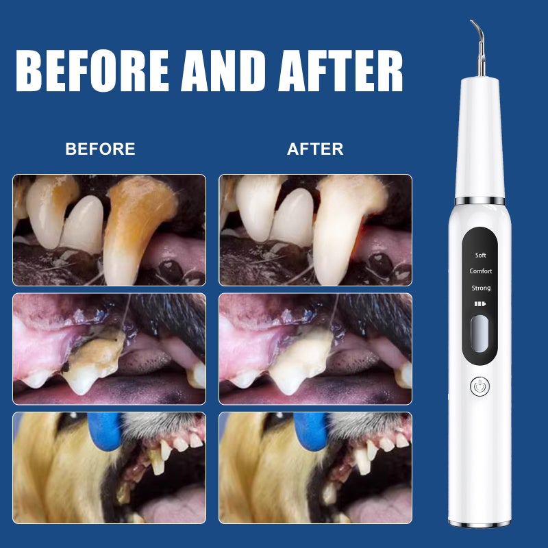Dog Calculus Remover Pet Ultrasonic Tooth Cleaner Cat Tooth Cleaning Tool Artifact Tooth Cleaner Machine - Image 4